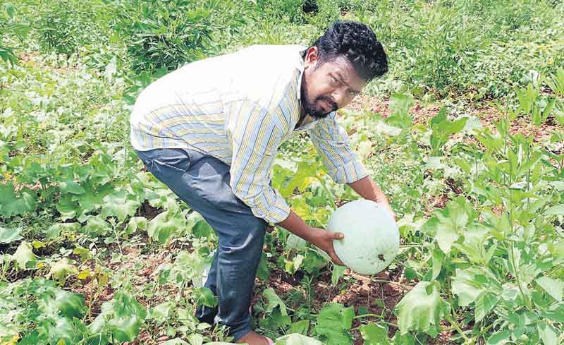 బంజేరుపల్లి రైతుల ఇగురం