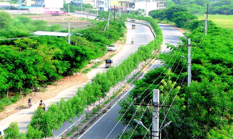 హరిత శోభితం