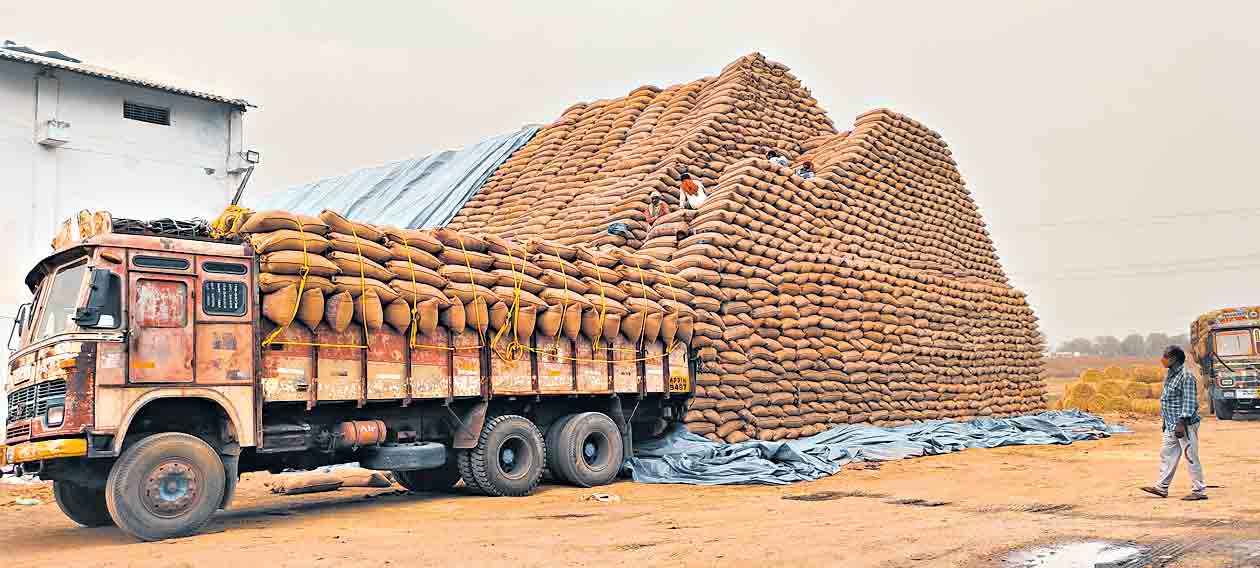 వరికి కేంద్రం ఉరి