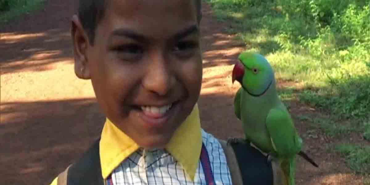 ఈ చిలుక సిన్న‌ది కాదు.. చిన్న పిల్ల‌ల‌తో దోస్తీ చేస్తుంది..!