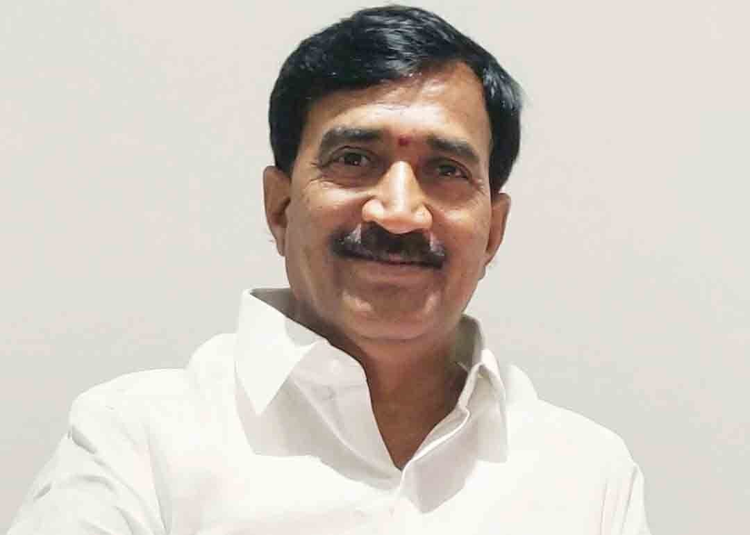 భవిష్యత్తులో దట్టమైన అడవులు చూస్తాం