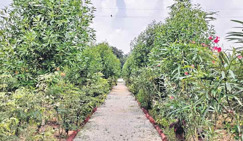 మెరిసిన మోకిల