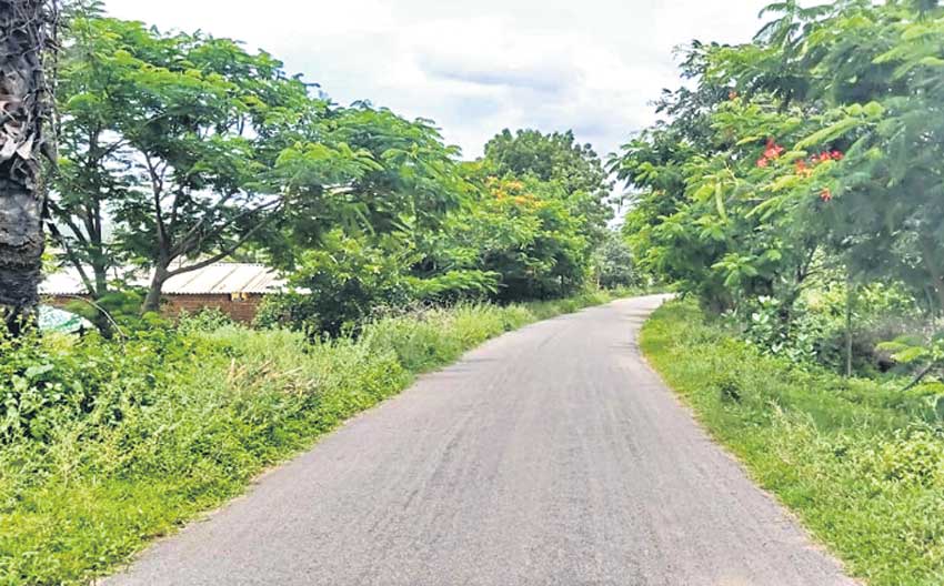 దశ మారింది