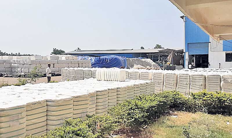 జిల్లాలో 10 కొనుగోలు కేంద్రాలు