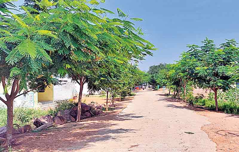 మెరిసిన ముద్దెంగూడ