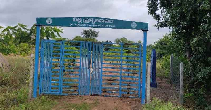 పచ్చందాల పల్లె.. ముద్దాయిపేట్‌