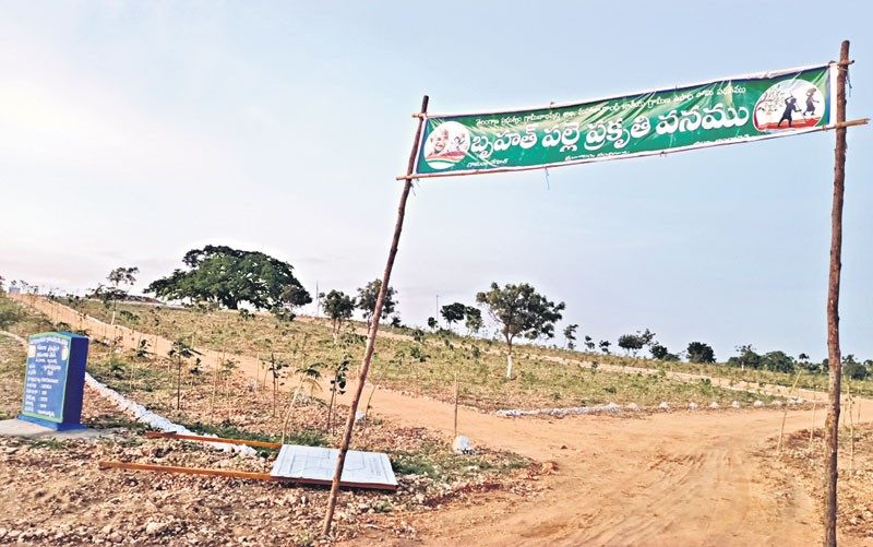 8 ఎకరాల్లో బృహత్‌ పల్లె ప్రకృతి వనం ఏర్పాటు