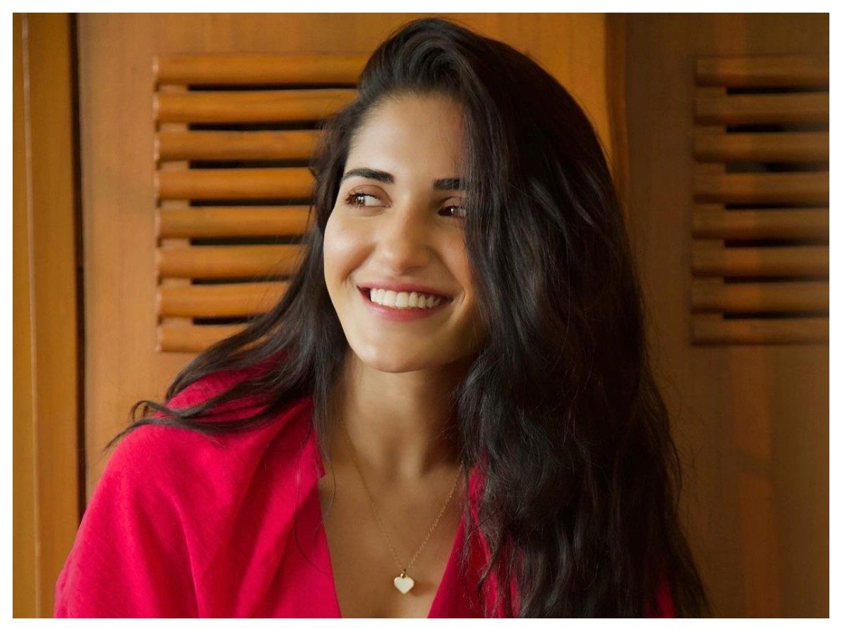 Ruhani Sharma | పింక్ డ్రెస్‌లో రుహాని శర్మ క్యూట్ లుక్స్ ఫొటోలు..