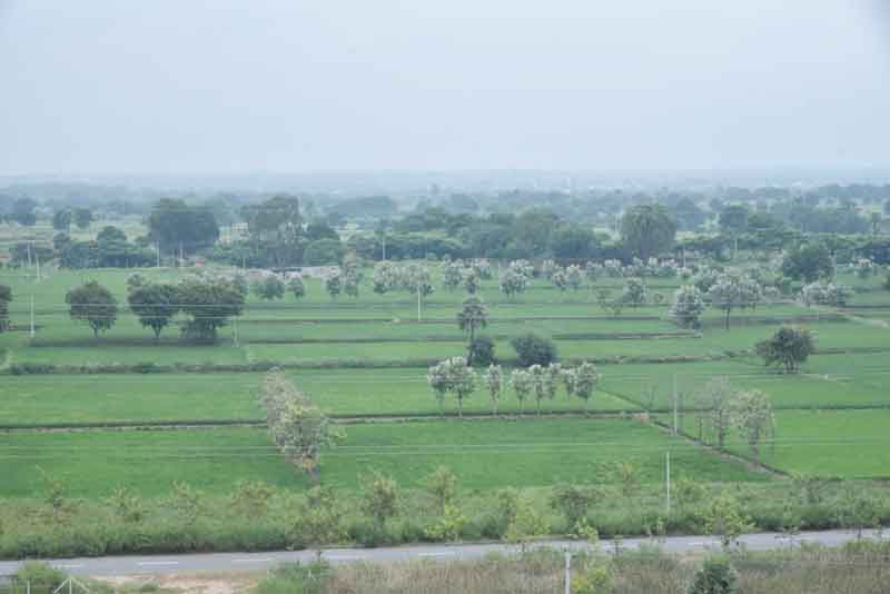 మన నేల బంగారం