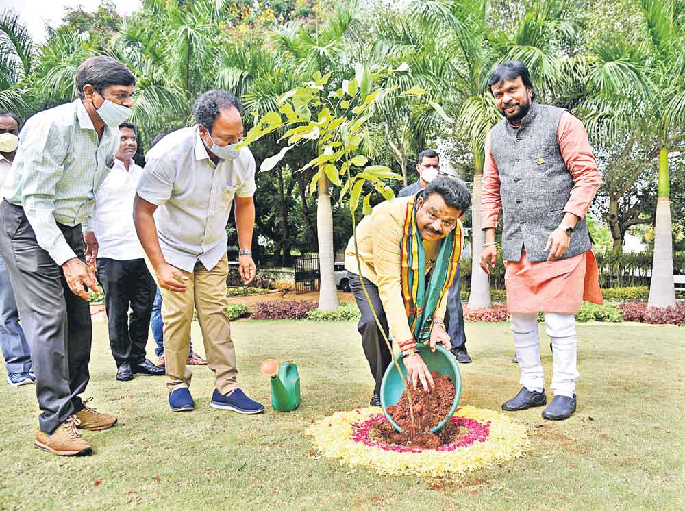శ్రీలంకలోనూ గ్రీన్‌ చాలెంజ్‌ !