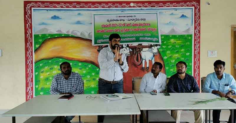 పప్పుధాన్యాలపై రైతాంగం మొగ్గు