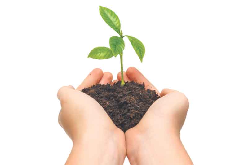 మొక్కవోని దీక్ష