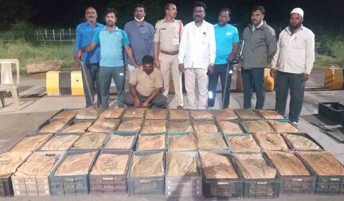 సంగారెడ్డి జిల్లాలో 240 కిలోల ఎండు గంజాయి స్వాధీనం