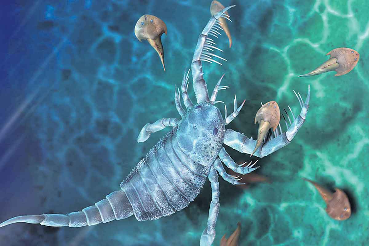 కుక్క అంత పే..ద్ద తేలు!