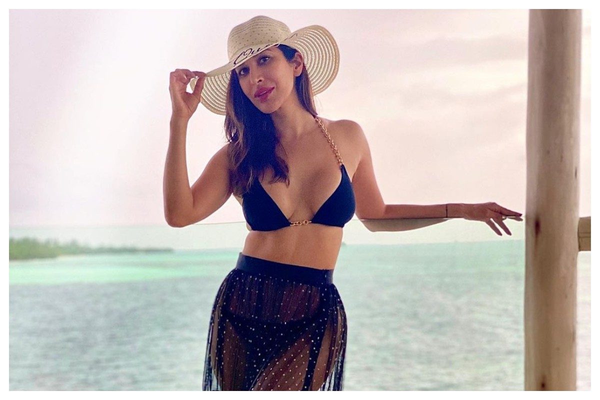 Sophie Choudry | సోఫీ చౌదరి అందాలు అదరహో..