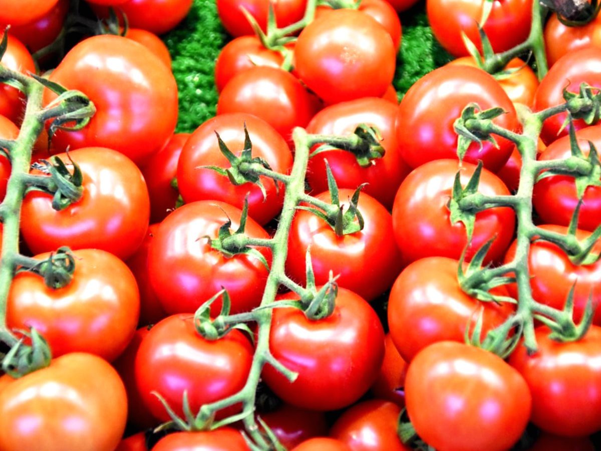 Festive Season | వంటింట్లో ధ‌ర‌ల మంట‌లు.. దూసుకెళ్తున్న టొమాటో.. ఉల్లి