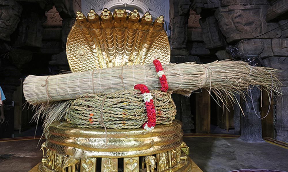 TTD Annual Brahmotsavam | బ్రహ్మోత్సవాల దర్భ చాప, తాడు ఊరేగింపు.. వీటి ప్రత్యేక ఏంటంటే..