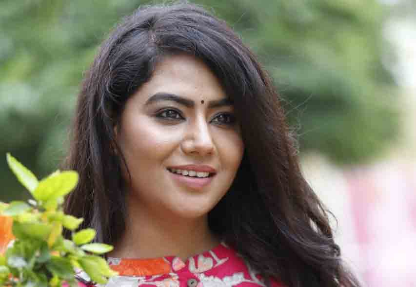 ప్రతీకార కథ