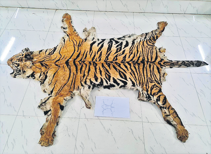 కాగజ్నగర్లో పులి చర్మం స్వాధీనం