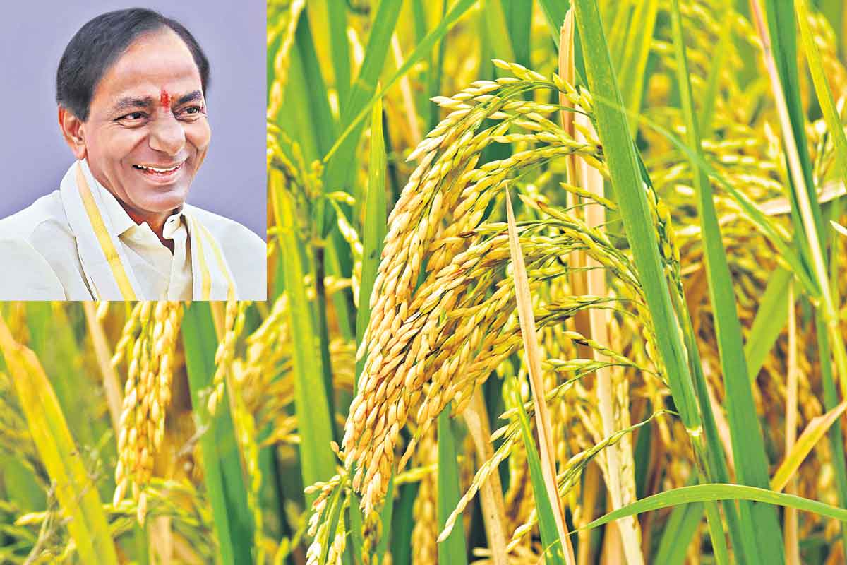 వానకాలం వడ్లూ కొంటాం