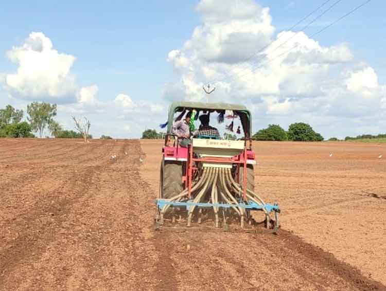 జోరుగా యాసంగి పనులు
