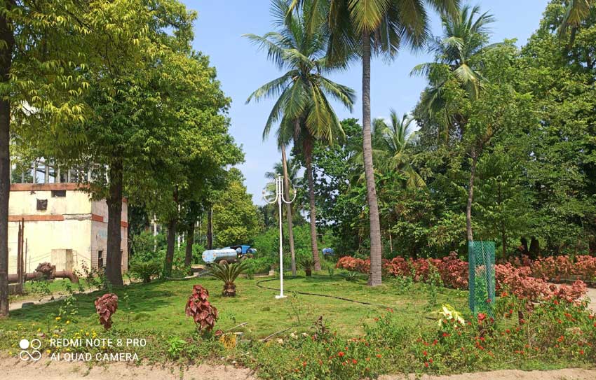 పచ్చపచ్చగా ఫిల్టర్‌బెడ్‌