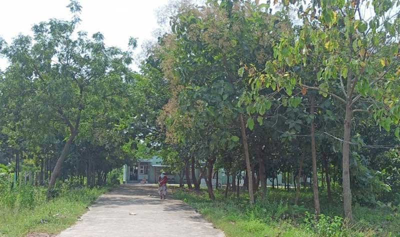 హరిత నీడలో హస్పిటల్‌