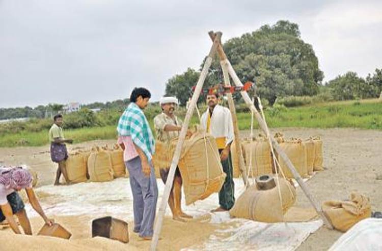 కొనుగోలుకు సై