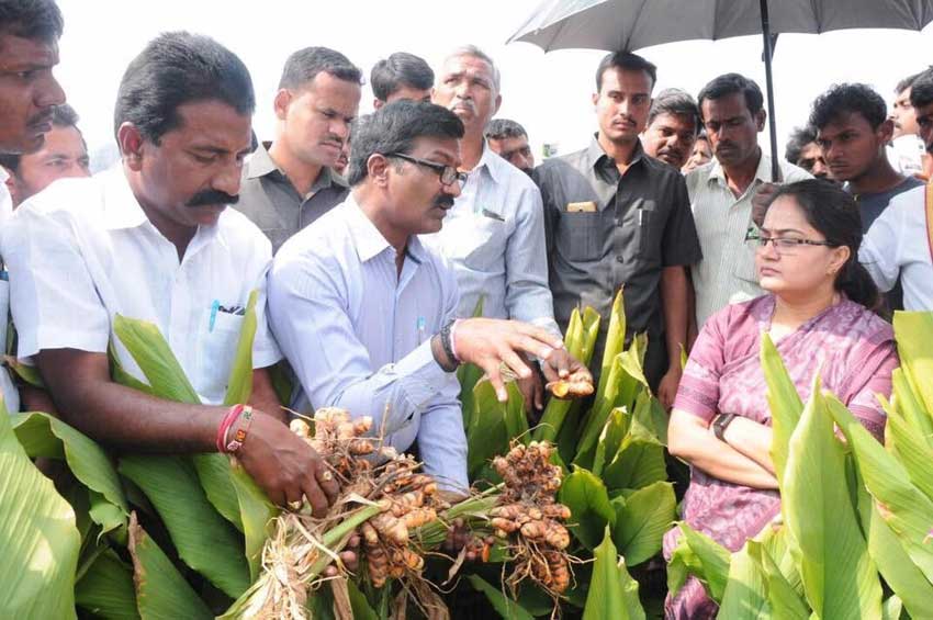 కాయిసుతో ఎవుసం