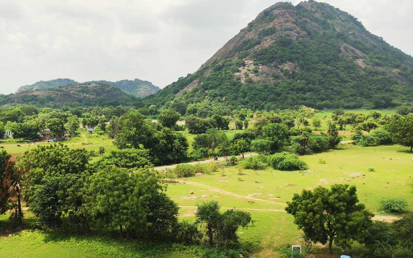 పచ్చదనం పరుచుకొని..