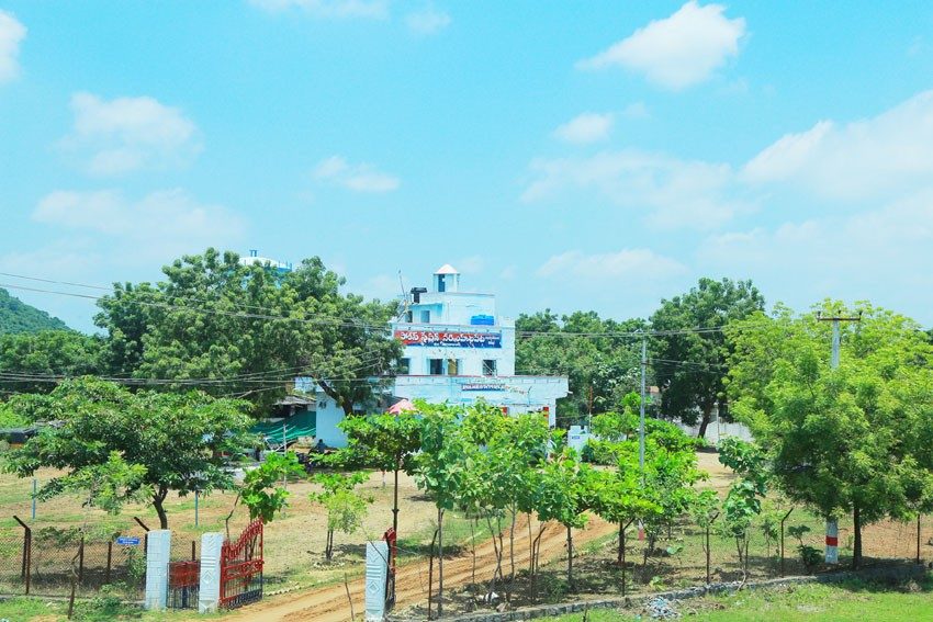 ‘పచ్చని’ ఠాణా