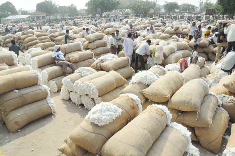 మద్దతు ధరకు మించి..