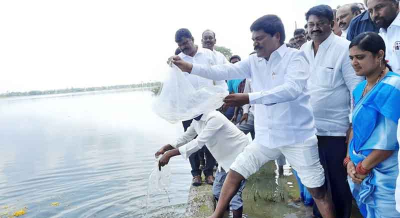 మత్స్యరంగానికి ప్రభుత్వం ఊపిరి