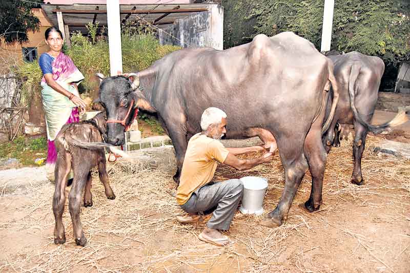 నాయకత్వ లక్షణమే అసలు బలం