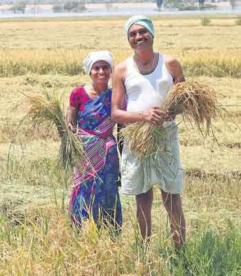 భిన్నంగా శోధన.. విభిన్న పథకం