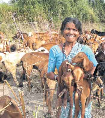 చాణక్య చంద్రుడు!