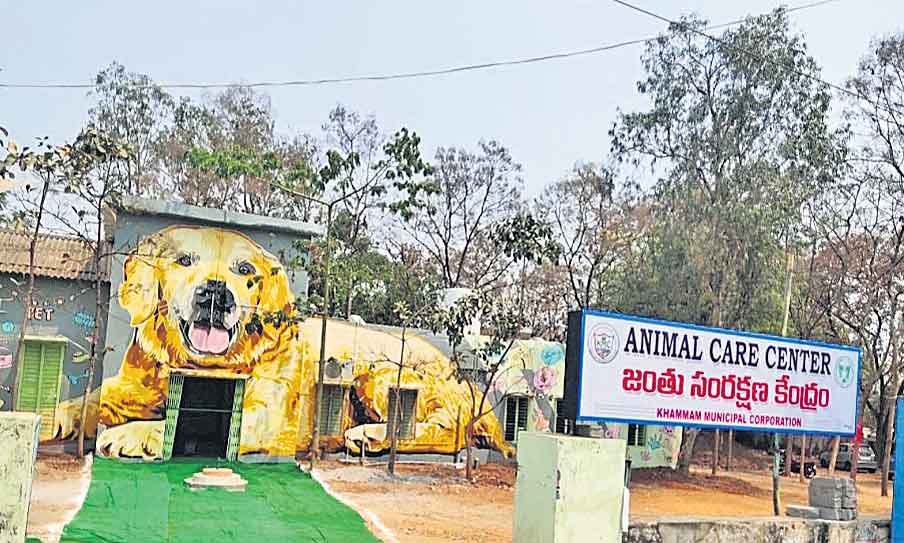 పశుసంక్షేమంలో భేష్‌