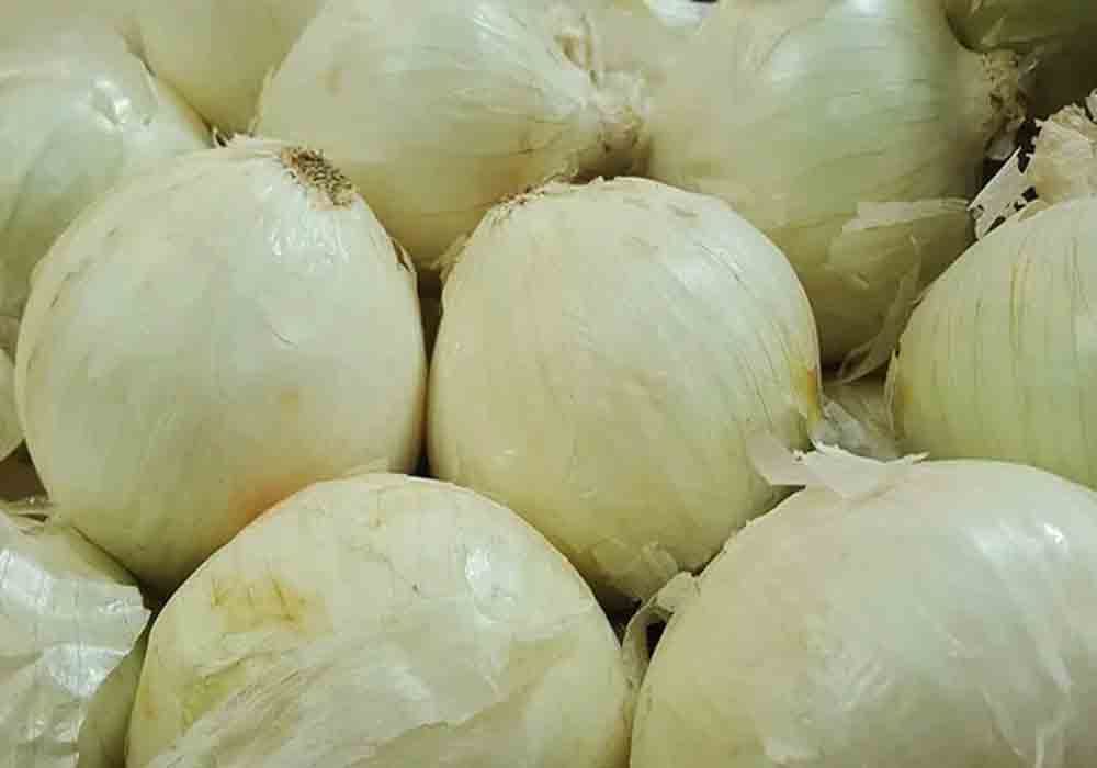 Geographical Indication | అలీబాగ్‌ తెల్ల ఉల్లిగడ్డకు జీఐ ట్యాగ్‌