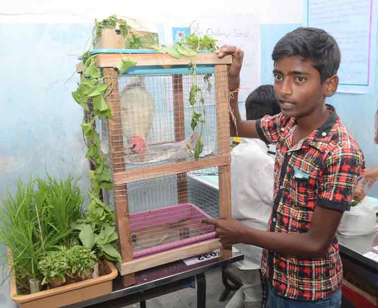 ఇన్‌స్పైర్‌లో మనమే టాప్‌