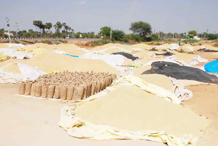 ధాన్యం కొనుగోళ్లకు సన్నద్ధం