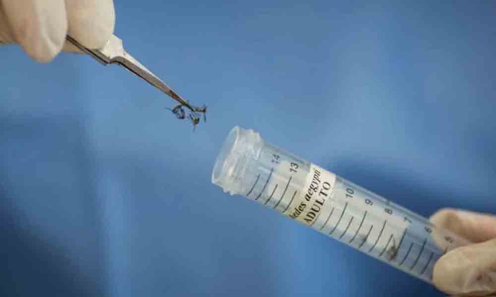 యూపీలో జికా కలకలం.. కాన్పూర్‌లో వ్యక్తికి పాజిటివ్‌