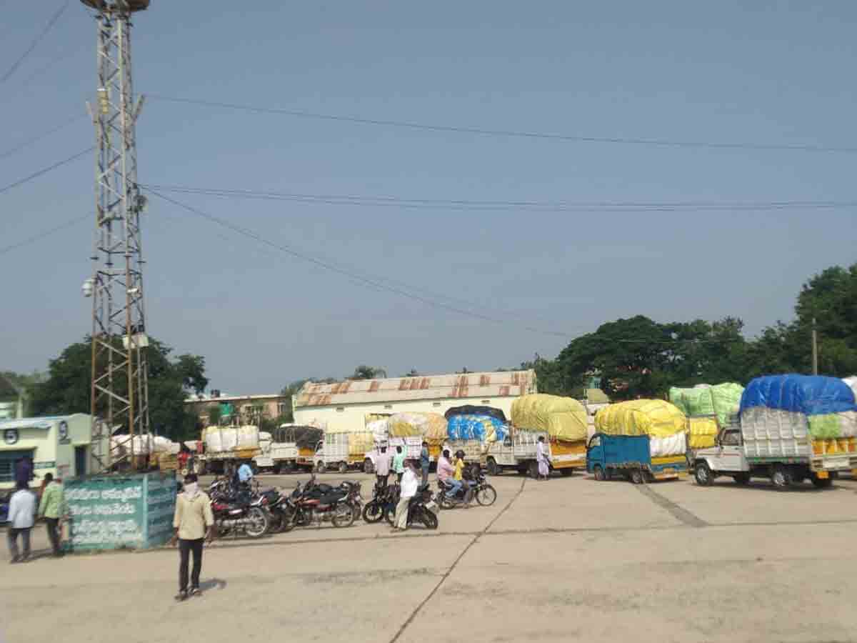 ఆదిలాబాద్ మార్కెట్ యార్డులో పత్తి కొనుగోళ్లు ప్రారంభం