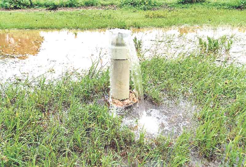 జలసిరి..