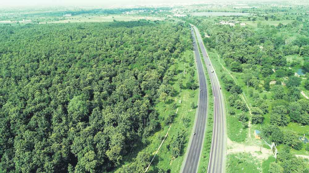 అడవులకు పూర్వ వైభవం