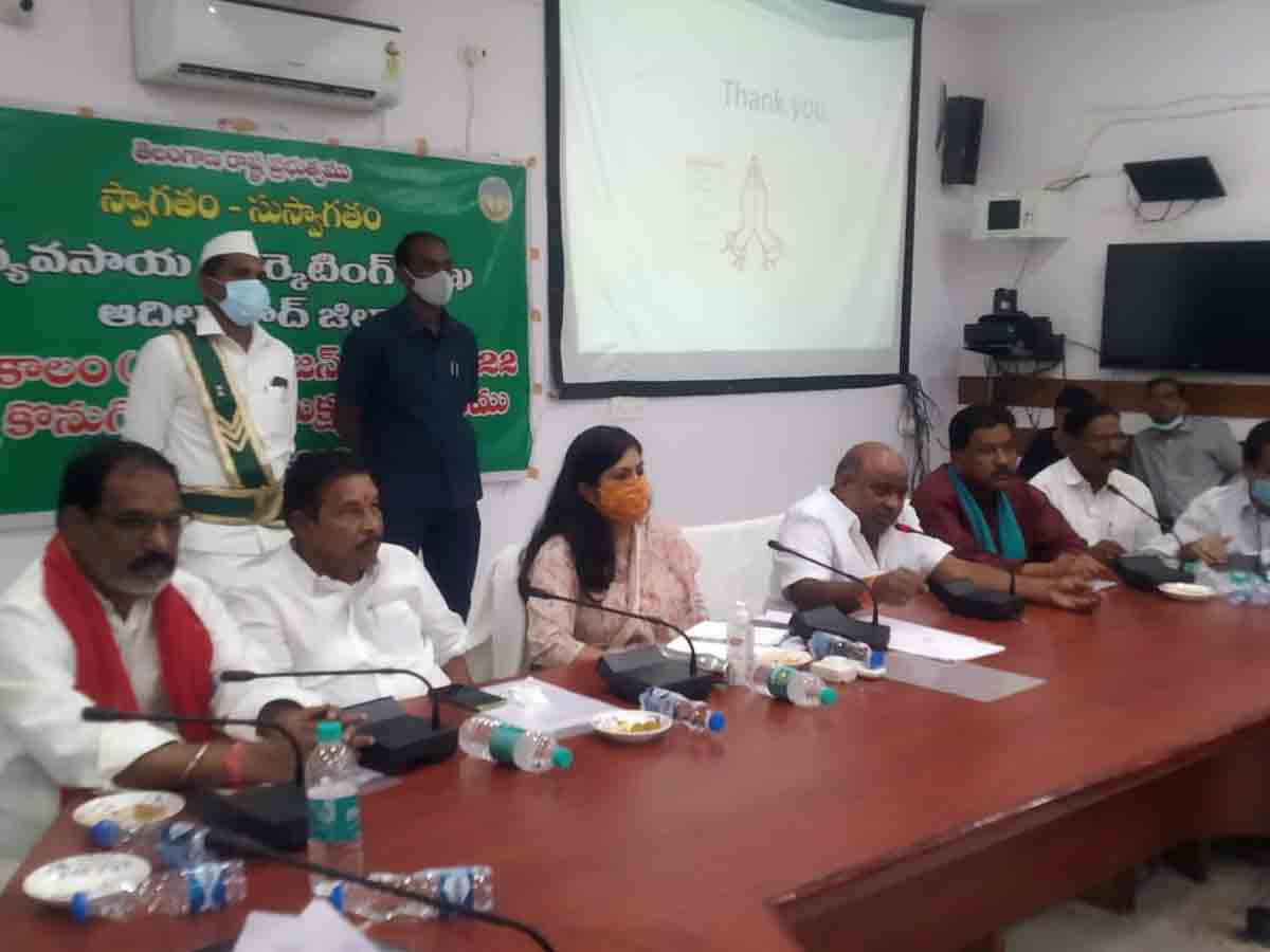 ఈ నెల 20 నుంచి పత్తి కొనుగోళ్లు : కలెక్టర్ సిక్తా పట్నాయక్