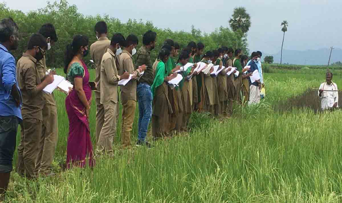Madhira | సేంద్రియ సాగుపై విద్యార్థులకు అవగాహన..