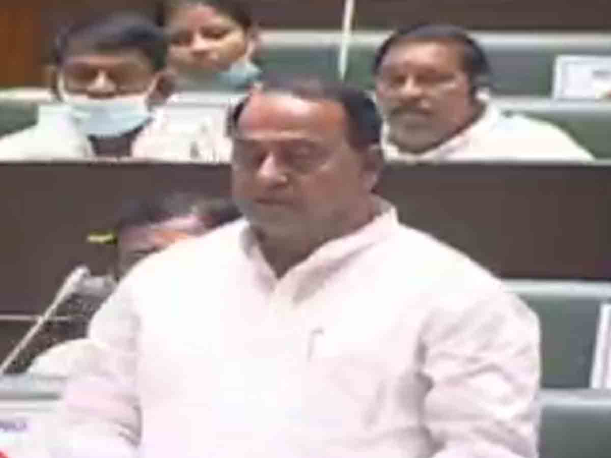 హరితహారానికి అంతర్జాతీయ గుర్తింపు : మంత్రి ఐకే రెడ్డి