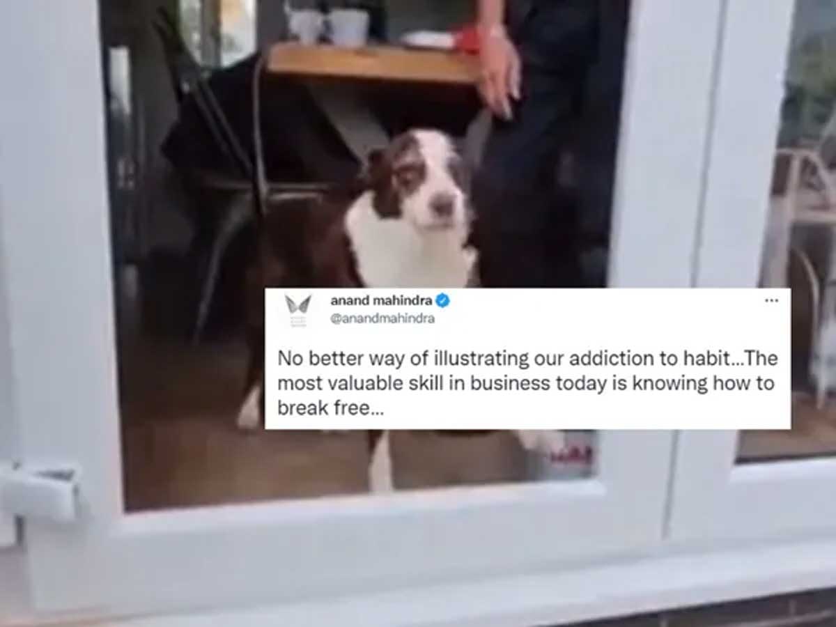 Anand Mahindra : వావ్.. ఏం చెప్పారు.. ఆనంద్ మ‌హీంద్ర షేర్ చేసిన ఈ వీడియో చూశారా?