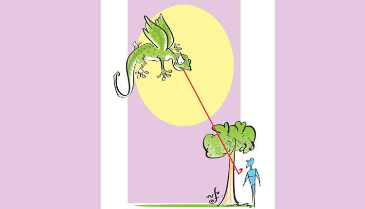 కపట కపోతం