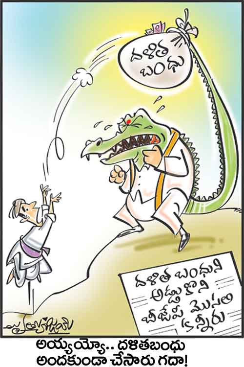 డైలీ కార్టూన్‌ 23-10-2021